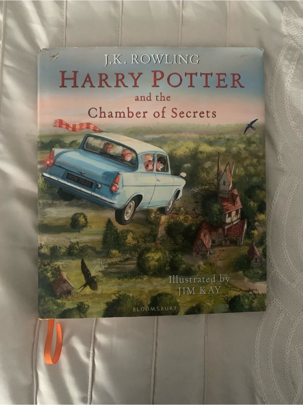 Harry Potter and the Chamber of Secrets Illustrated Edition Hardcover